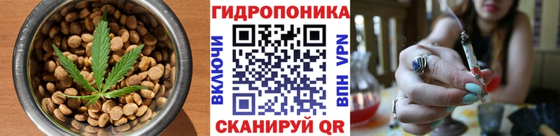Cannafood конопля  купить закладку  Алатырь 