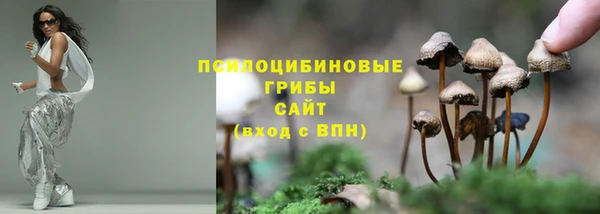 ешки Лиски