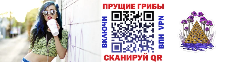 ссылка на мегу ONION где купить наркотик Алатырь Псилоцибиновые грибы мухоморы